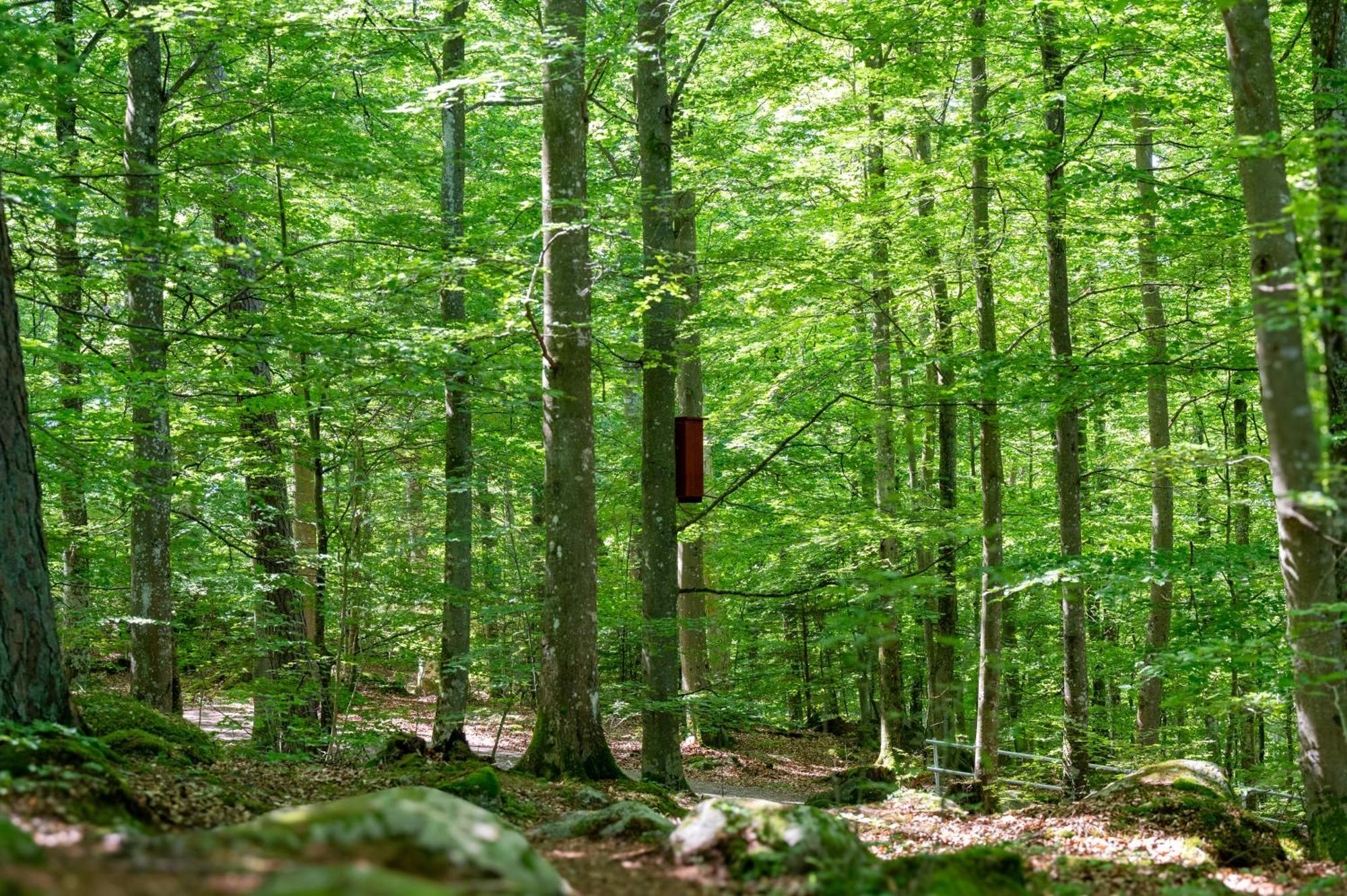 Halens Camping Och Stugby Olofström Dış mekan fotoğraf